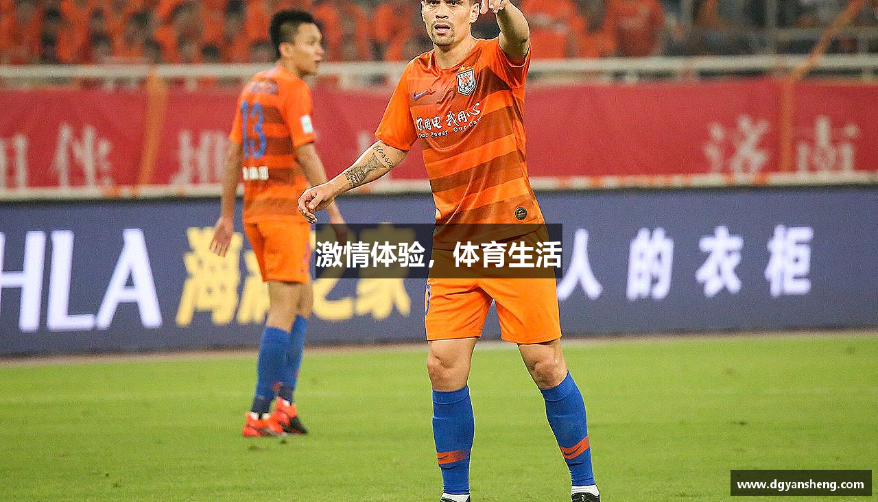 激情體驗(yàn)，體育生活